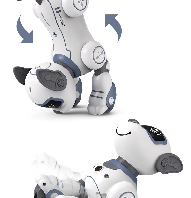 Intelligent Remote Control Robot Dog with Voice Command & Music